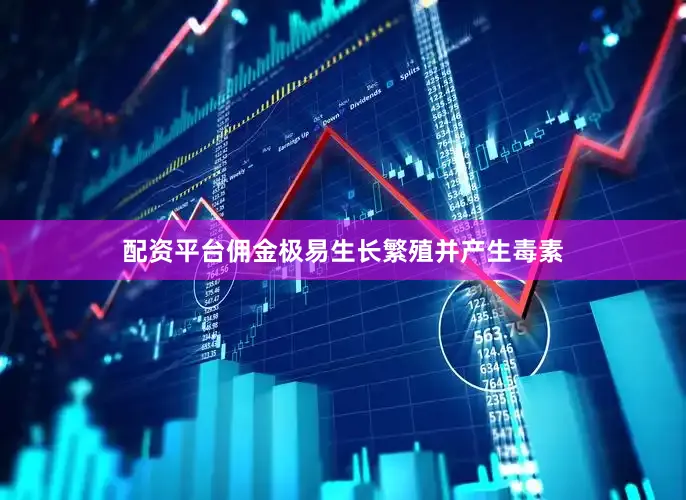 配资平台佣金极易生长繁殖并产生毒素